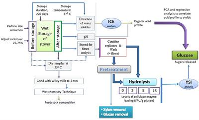 Wet Corn Stover Storage: Correlating Fiber Reactivity With Storage Acids Over a Wide Moisture Range